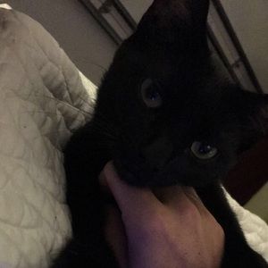 Meet your Posher, Duval